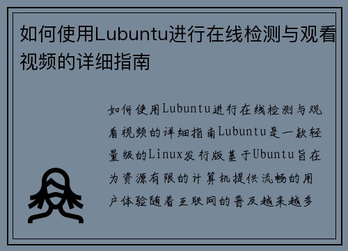 如何使用Lubuntu进行在线检测与观看视频的详细指南